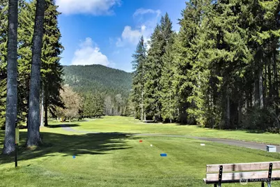 91 N Wigeon Place, Hoodsport, WA 98584 - Photo 34