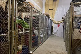 510 6th Ave S, Seattle, WA 98104 - Photo 18