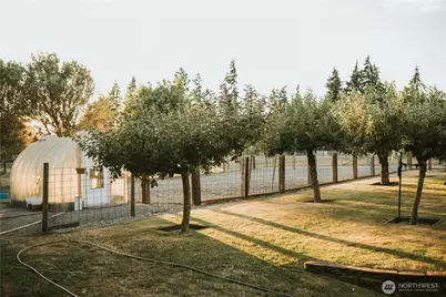 4004 50th Street Ct E, Tacoma, WA 98443 - Photo 36