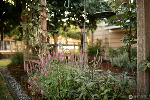 4004 50th St Ct E, Tacoma, WA 98443 - Photo 40