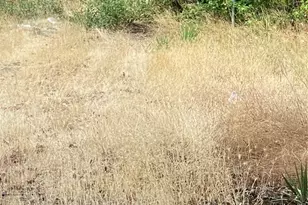 6613 S Wapato St, Tacoma, WA 98409 - Photo 1