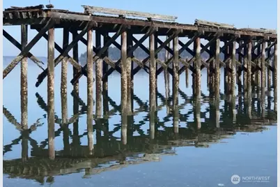 4321 Freemont Street NE, Olympia, WA 98516 - Photo 38