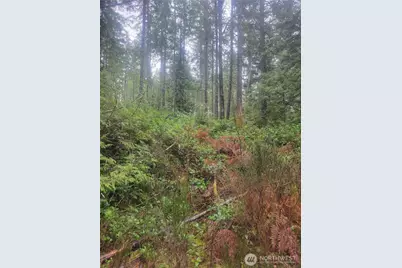 1 Gd 2048 Rd, Union, WA 98592 - Photo 6