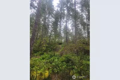 1 Gd 2048 Rd, Union, WA 98592 - Photo 2