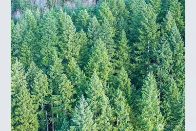 14703 184th Street NE, Arlington, WA 98223 - Photo 16