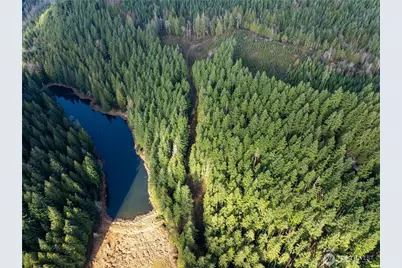 14703 184th Street NE, Arlington, WA 98223 - Photo 6