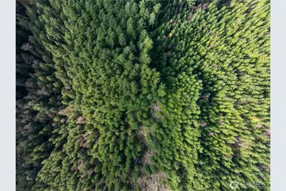 14703 184th Street NE, Arlington, WA 98223 - Photo 14