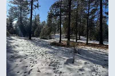 0 Tbd Cartwright Drive #Lot 1, Tonasket, WA 98855 - Photo 20