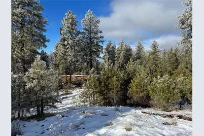 0 Tbd Cartwright Drive #Lot 1, Tonasket, WA 98855 - Photo 6