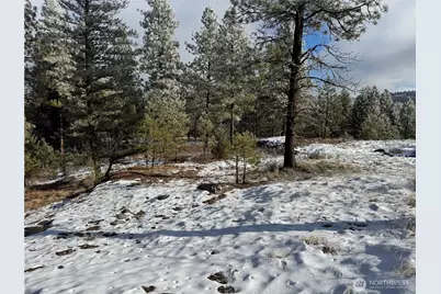 0 Tbd Cartwright Drive #Lot 1, Tonasket, WA 98855 - Photo 8