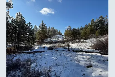 0 Tbd Cartwright Drive #Lot 2, Tonasket, WA 98855 - Photo 18