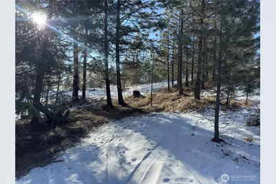 0 Tbd Cartwright Drive #Lot 2, Tonasket, WA 98855 - Photo 2