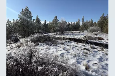0 Tbd Cartwright Drive #Lot 2, Tonasket, WA 98855 - Photo 4