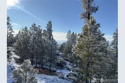 0 Tbd Cartwright Drive #Lot 2, Tonasket, WA 98855 - Photo 10