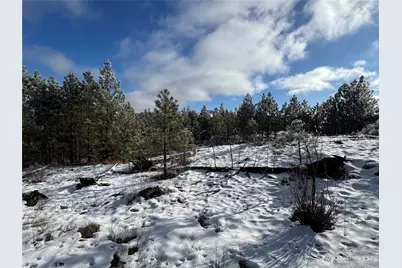 0 Tbd Cartwright Drive #Lot 2, Tonasket, WA 98855 - Photo 14