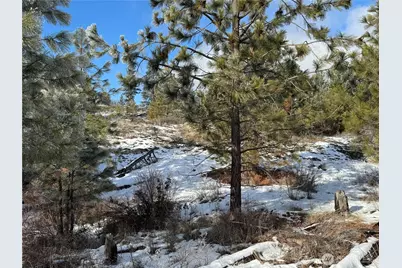 0 Tbd Cartwright Drive #Lot 2, Tonasket, WA 98855 - Photo 12