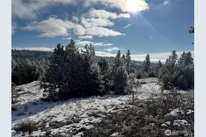 0 Tbd Cartwright Drive #Lot 2, Tonasket, WA 98855 - Photo 16