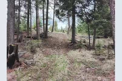 88 Cow Camp Road, Oroville, WA 98844 - Photo 30