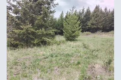 88 Cow Camp Road, Oroville, WA 98844 - Photo 32