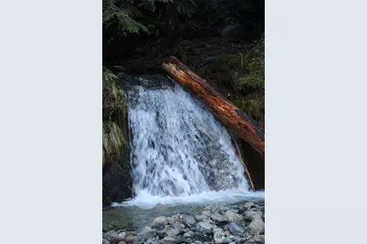 26610 469th Avenue NE, Darrington, WA 98241 - Photo 8