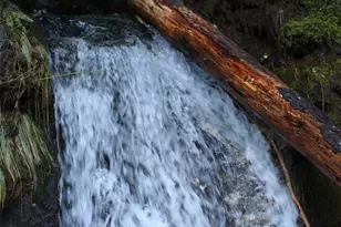 26610 469th Ave NE, Darrington, WA 98241 - Photo 8