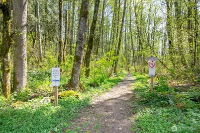 17600 SE Cougar Mountain Drive, Issaquah, WA 98027 - Photo 6