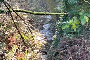 23453 16th Ave S, Des Moines, WA 98198 - Photo 24