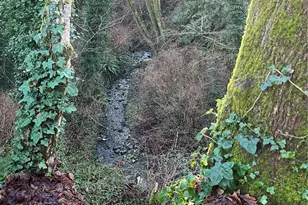 23453 16th Ave S, Des Moines, WA 98198 - Photo 22