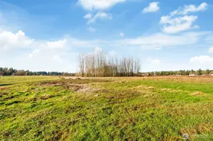 8741 Delta Line Rd, Custer, WA 98240 - Photo 18