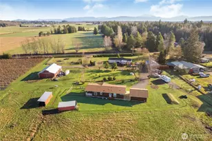 8741 Delta Line Rd, Custer, WA 98240 - Photo 10
