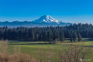 19708 82nd St Ct E, Bonney Lake, WA 98391 - Photo 4