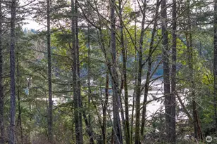 11515 189th Ave NW, Gig Harbor, WA 98329 - Photo 6