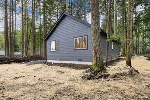 56114 343rd Ave Ct E, Ashford, WA 98304 - Photo 20