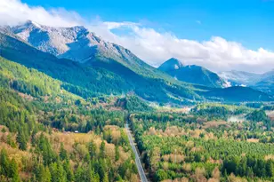 56114 343rd Ave Ct E, Ashford, WA 98304 - Photo 24