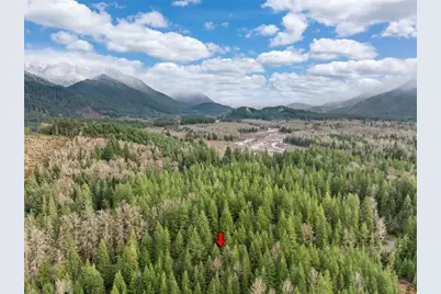 56114 343rd Avenue Ct E, Ashford, WA 98304 - Photo 22