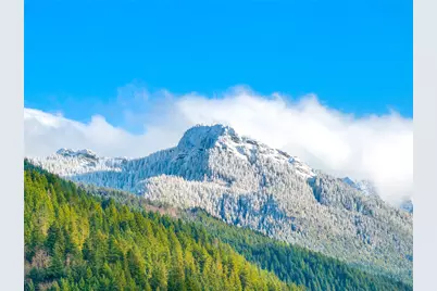 56114 343rd Avenue Ct E, Ashford, WA 98304 - Photo 26