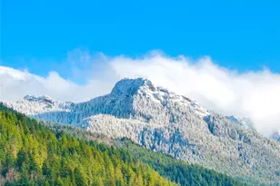 56114 343rd Ave Ct E, Ashford, WA 98304 - Photo 26