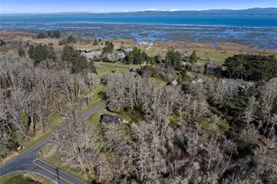 3212 Oysterville Rd, Oysterville, WA 98641 - Photo 2