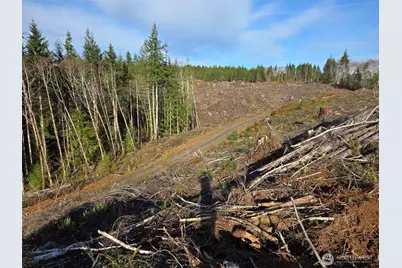 0 End Of Herbig Avenue, Aberdeen, WA 98520 - Photo 6