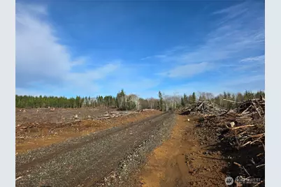 0 End Of Herbig Avenue, Aberdeen, WA 98520 - Photo 2