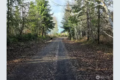 0 End Of Herbig Avenue, Aberdeen, WA 98520 - Photo 8