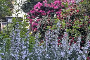 8859 20th Ave SW, Seattle, WA 98106 - Photo 40