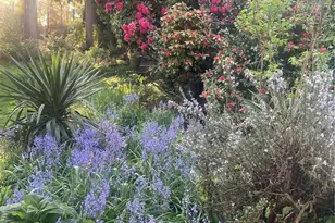 8859 20th Ave SW, Seattle, WA 98106 - Photo 32