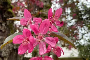 8859 20th Ave SW, Seattle, WA 98106 - Photo 38