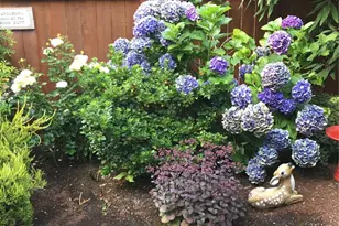 3228 227th St SW, Brier, WA 98036 - Photo 18