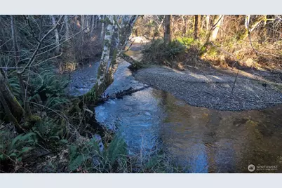 441 Elma Hicklin Rd W, McCleary, WA 98557 - Photo 6