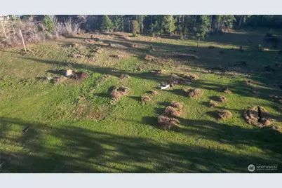 443 Elma Hicklin Rd W, McCleary, WA 98557 - Photo 6