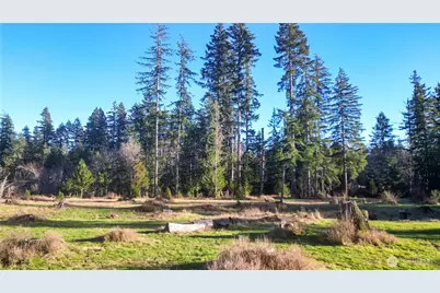 443 Elma Hicklin Rd W, McCleary, WA 98557 - Photo 10