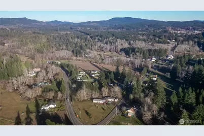 443 Elma Hicklin Rd W, McCleary, WA 98557 - Photo 8