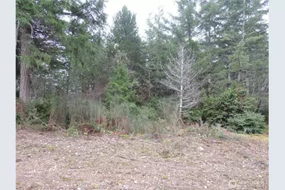 4 Cottonwood, Grapeview, WA 98546 - Photo 12